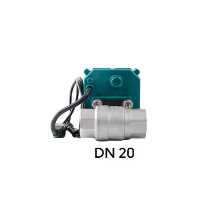 FrankEver Smart water valve DN20