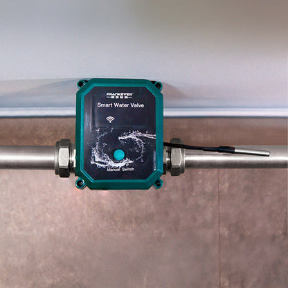 FrankEver Smart water valve DN15