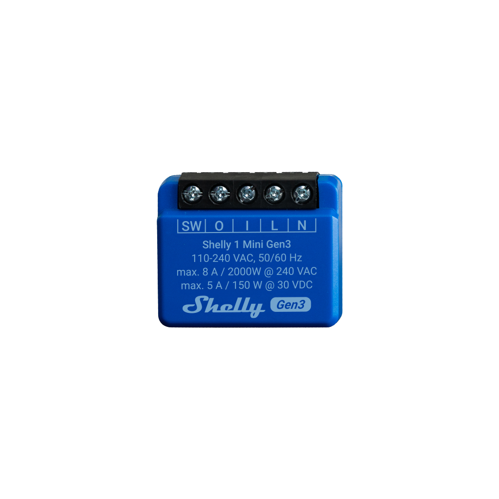 shelly-asia