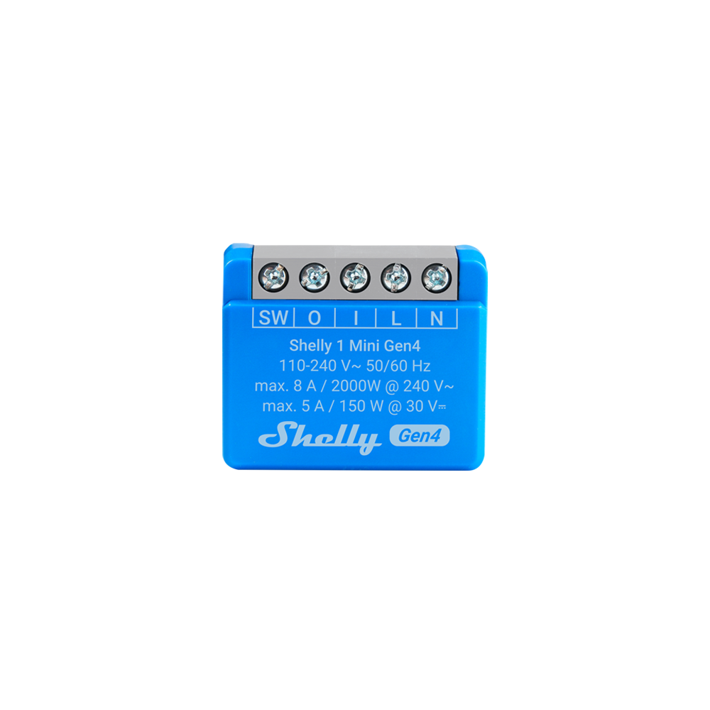 shelly-asia