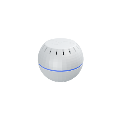 Shelly Wave H&T ANZ White