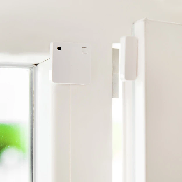 shelly-asia