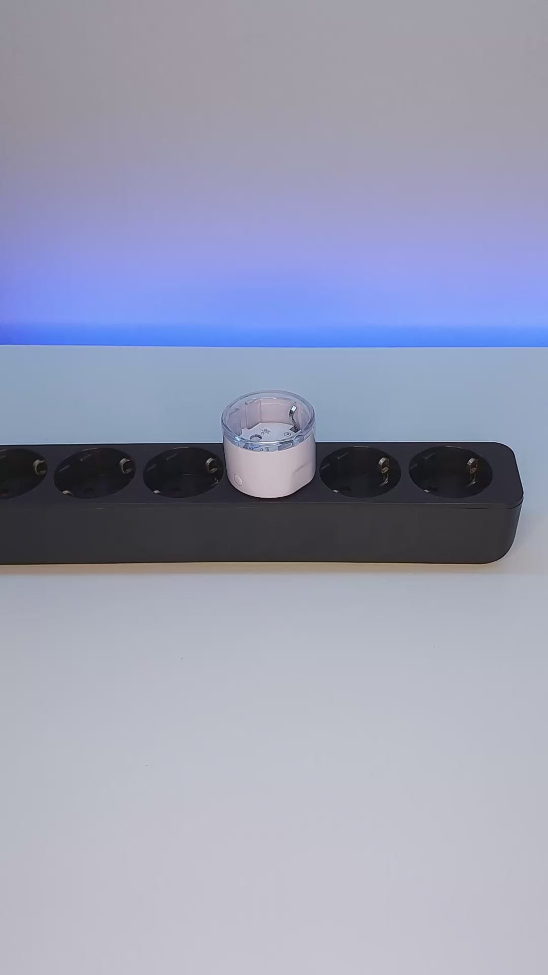 shelly-asia